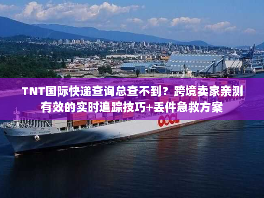 TNT国际快递查询总查不到？跨境卖家亲测有效的实时追踪技巧+丢件急救方案