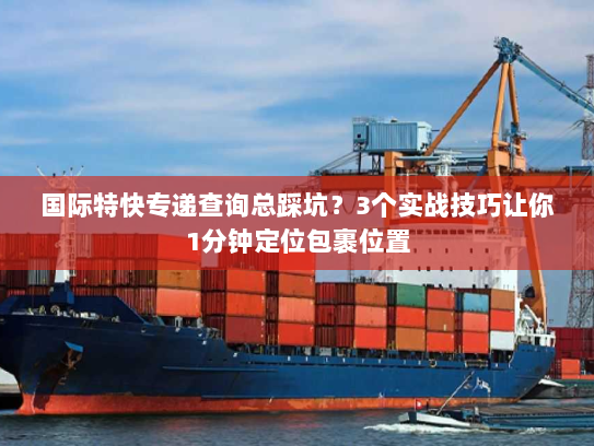 国际特快专递查询总踩坑？3个实战技巧让你1分钟定位包裹位置