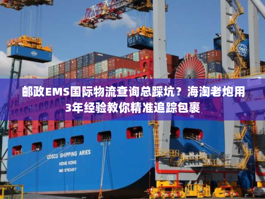 邮政EMS国际物流查询总踩坑？海淘老炮用3年经验教你精准追踪包裹