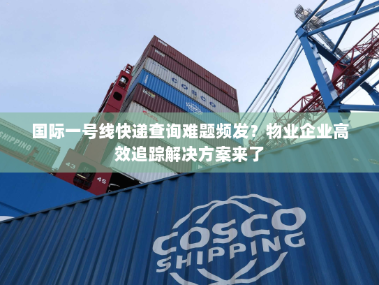 国际一号线快递查询难题频发?物业企业高效追踪解决方案来了 国际一号线快递查询难题频发?物业企业高效追踪解决方案来了