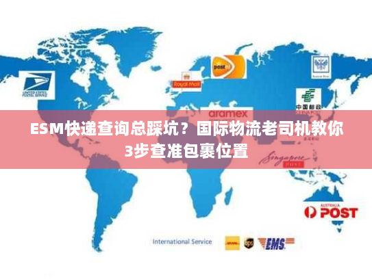 ESM快递查询总踩坑？国际物流老司机教你3步查准包裹位置