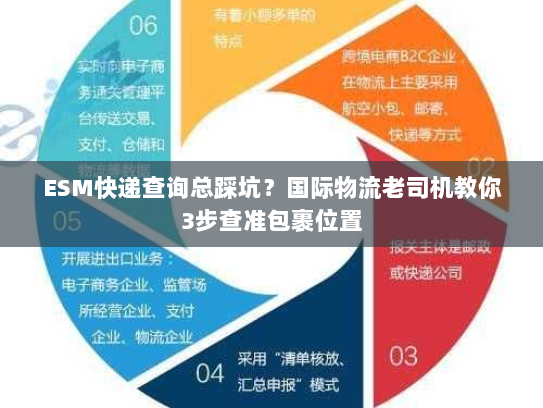 ESM快递查询总踩坑？国际物流老司机教你3步查准包裹位置