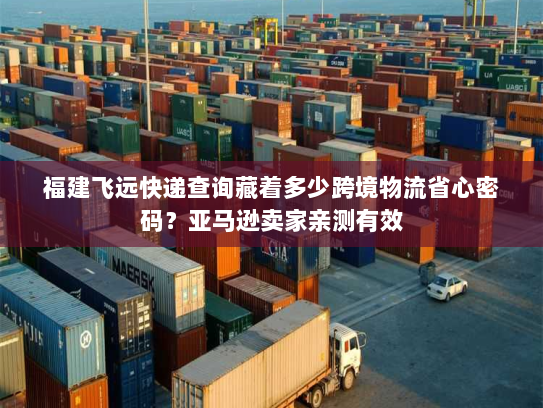 福建飞远快递查询藏着多少跨境物流省心密码？亚马逊卖家亲测有效