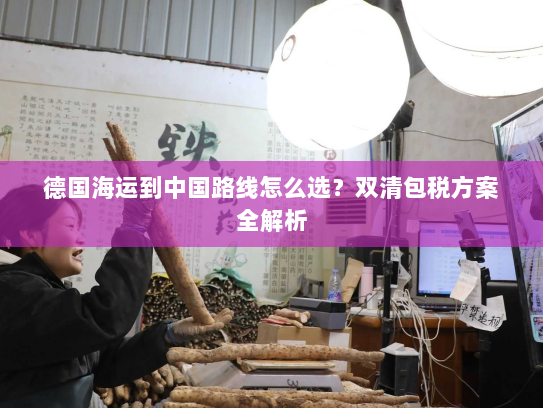 德国海运到中国路线怎么选?双清包税方案全解析 德国海运到中国路线怎么选?双清包税方案全解析