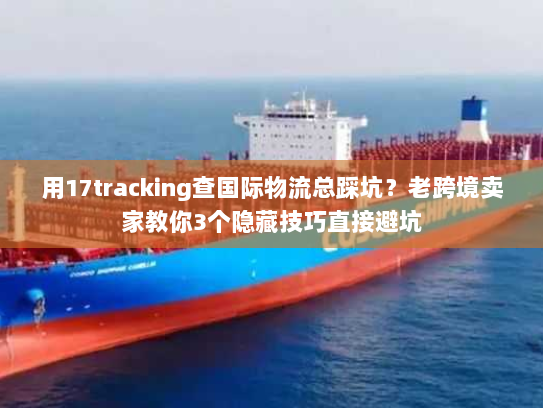 用17tracking查国际物流总踩坑？老跨境卖家教你3个隐藏技巧直接避坑