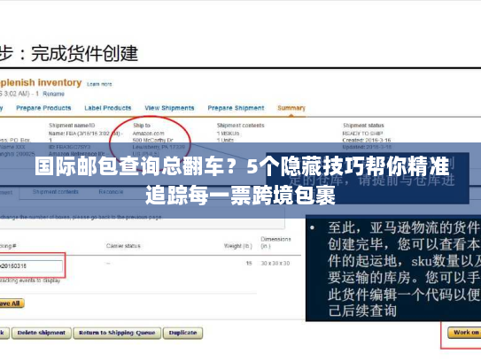 国际邮包查询总翻车？5个隐藏技巧帮你精准追踪每一票跨境包裹