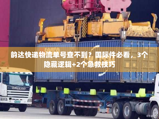 韵达快递物流单号查不到？国际件必看，3个隐藏逻辑+2个急救技巧
