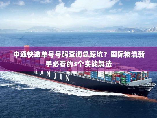 中通快递单号号码查询总踩坑?国际物流新手必看的3个实战解法 中通快递单号号码查询总踩坑?国际物流新手必看的3个实战解法