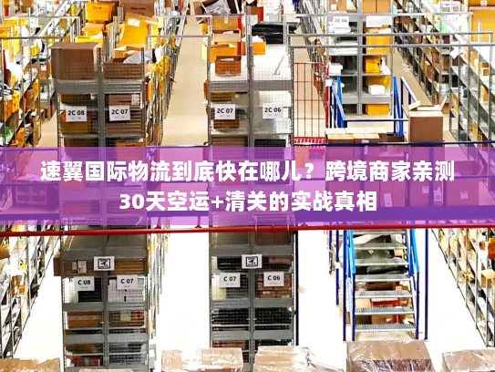 速翼国际物流到底快在哪儿？跨境商家亲测30天空运+清关的实战真相