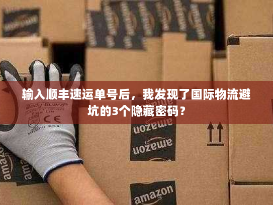 输入顺丰速运单号后，我发现了国际物流避坑的3个隐藏密码？