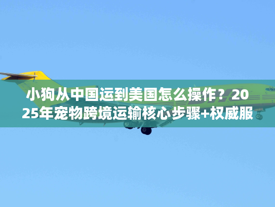 小狗从中国运到美国怎么操作？2025年宠物跨境运输核心步骤+权威服务商推荐