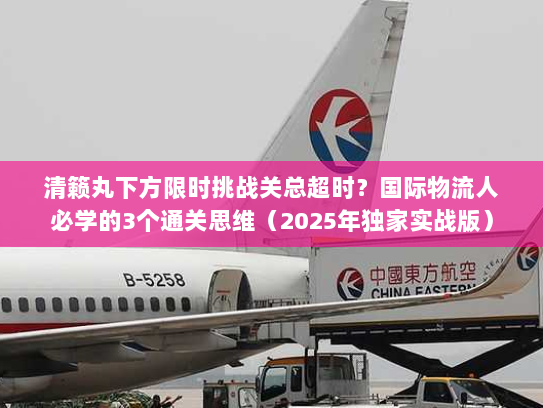 清籁丸下方限时挑战关总超时？国际物流人必学的3个通关思维（2025年独家实战版）