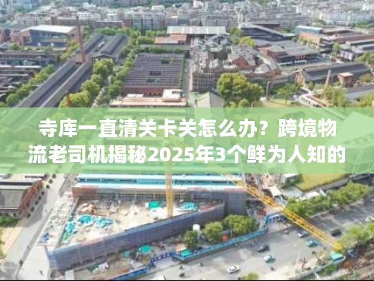 寺库一直清关卡关怎么办？跨境物流老司机揭秘2025年3个鲜为人知的解决方案