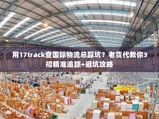用17track查国际物流总踩坑？老货代教你3招精准追踪+避坑攻略
