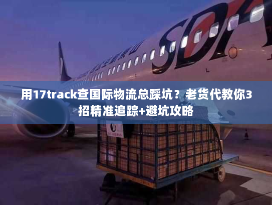 用17track查国际物流总踩坑？老货代教你3招精准追踪+避坑攻略