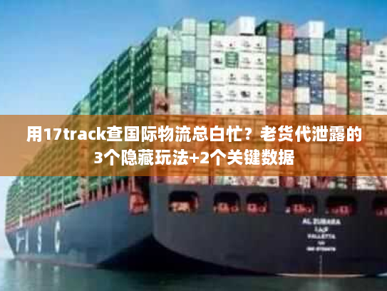 用17track查国际物流总白忙？老货代泄露的3个隐藏玩法+2个关键数据