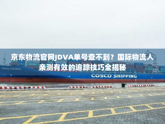 京东物流官网JDVA单号查不到？国际物流人亲测有效的追踪技巧全揭秘