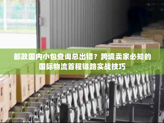 邮政国内小包查询总出错？跨境卖家必知的国际物流首程链路实战技巧