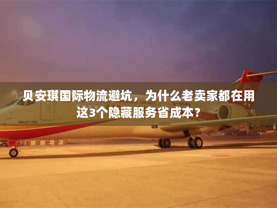 贝安琪国际物流避坑，为什么老卖家都在用这3个隐藏服务省成本？