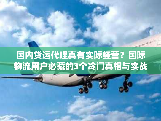 国内货运代理真有实际经营？国际物流用户必藏的3个冷门真相与实战避坑