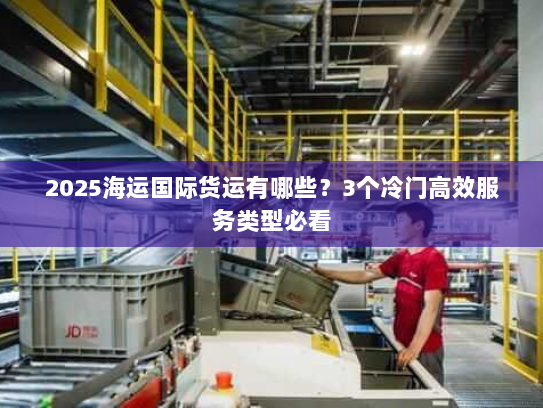 2025海运国际货运有哪些？3个冷门高效服务类型必看