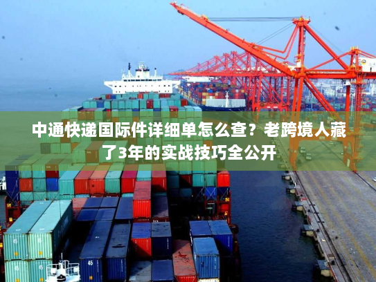 中通快递国际件详细单怎么查？老跨境人藏了3年的实战技巧全公开