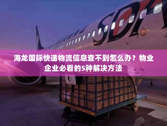 海龙国际快递物流信息查不到怎么办?物业企业必看的5种解决方法 海龙国际快递物流信息查不到怎么办?物业企业必看的5种解决方法