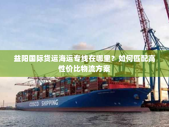 益阳国际货运海运专线在哪里?如何匹配高性价比物流方案 益阳国际货运海运专线在哪里?如何匹配高性价比物流方案