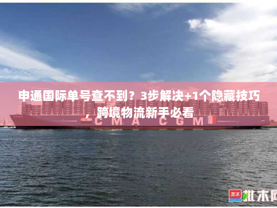 申通国际单号查不到？3步解决+1个隐藏技巧，跨境物流新手必看