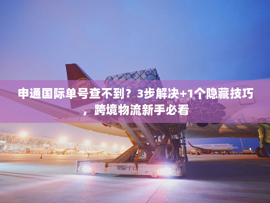 申通国际单号查不到？3步解决+1个隐藏技巧，跨境物流新手必看