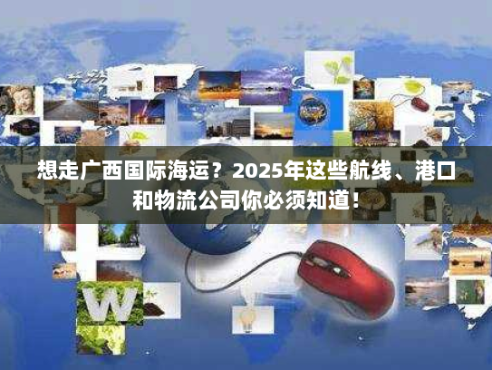 想走广西国际海运？2025年这些航线、港口和物流公司你必须知道！