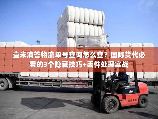 壹米滴答物流单号查询怎么查？国际货代必看的3个隐藏技巧+丢件处理实战