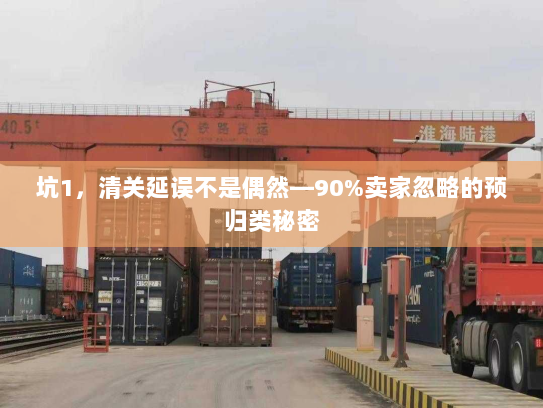 坑1，清关延误不是偶然—90%卖家忽略的预归类秘密