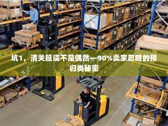 坑1，清关延误不是偶然—90%卖家忽略的预归类秘密