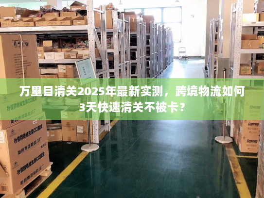 万里目清关2025年最新实测，跨境物流如何3天快速清关不被卡？