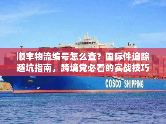 顺丰物流编号怎么查？国际件追踪避坑指南，跨境党必看的实战技巧