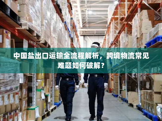 中国盐出口运输全流程解析,跨境物流常见难题如何破解? 中国盐出口运输全流程解析,跨境物流常见难题如何破解?
