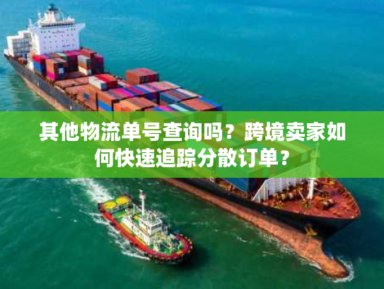 其他物流单号查询吗?跨境卖家如何快速追踪分散订单? 其他物流单号查询吗?跨境卖家如何快速追踪分散订单?
