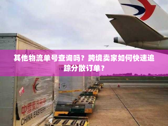 其他物流单号查询吗?跨境卖家如何快速追踪分散订单? 其他物流单号查询吗?跨境卖家如何快速追踪分散订单?