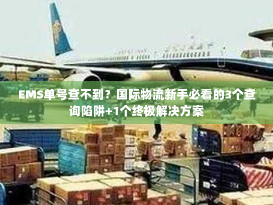 EMS单号查不到？国际物流新手必看的3个查询陷阱+1个终极解决方案