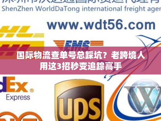 国际物流查单号总踩坑?老跨境人用这3招秒变追踪高手 国际物流查单号总踩坑?老跨境人用这3招秒变追踪高手