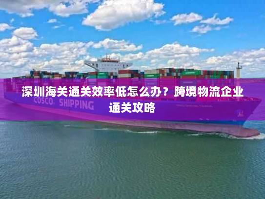 深圳海关通关效率低怎么办？跨境物流企业通关攻略