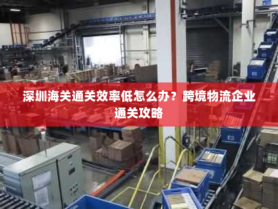 深圳海关通关效率低怎么办？跨境物流企业通关攻略