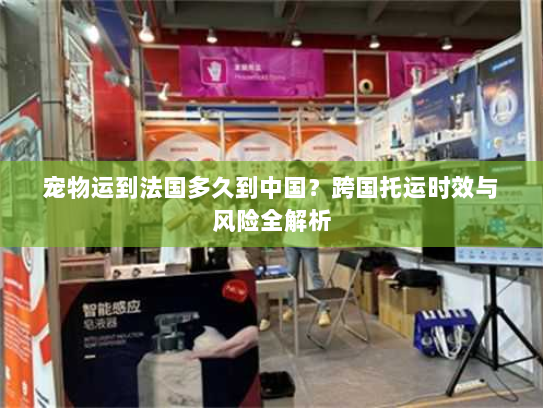 宠物运到法国多久到中国?跨国托运时效与风险全解析 宠物运到法国多久到中国?跨国托运时效与风险全解析