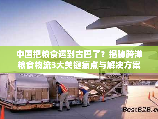 中国把粮食运到古巴了？揭秘跨洋粮食物流3大关键痛点与解决方案
