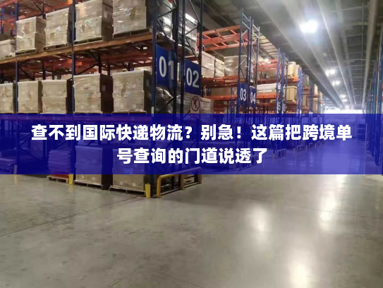 查不到国际快递物流？别急！这篇把跨境单号查询的门道说透了