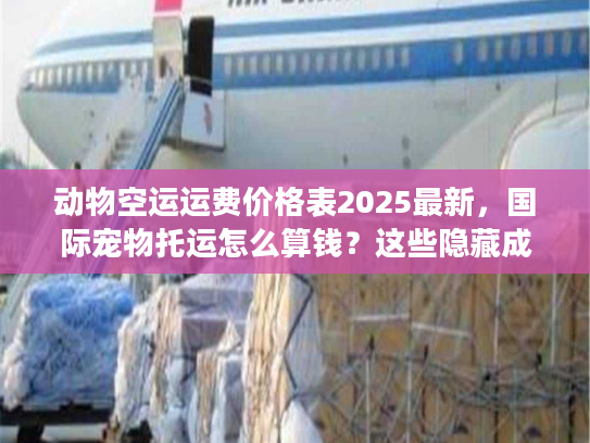 动物空运运费价格表2025最新，国际宠物托运怎么算钱？这些隐藏成本别踩坑！