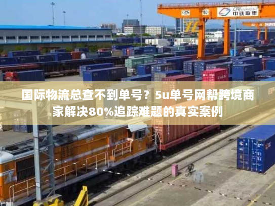 国际物流总查不到单号？5u单号网帮跨境商家解决80%追踪难题的真实案例