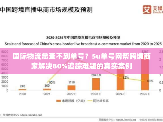 国际物流总查不到单号？5u单号网帮跨境商家解决80%追踪难题的真实案例
