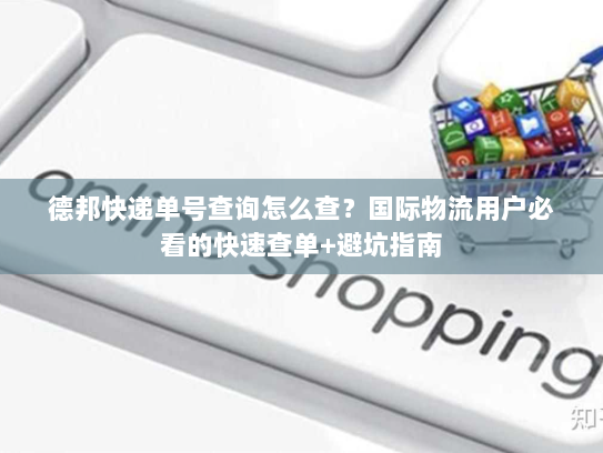 德邦快递单号查询怎么查？国际物流用户必看的快速查单+避坑指南